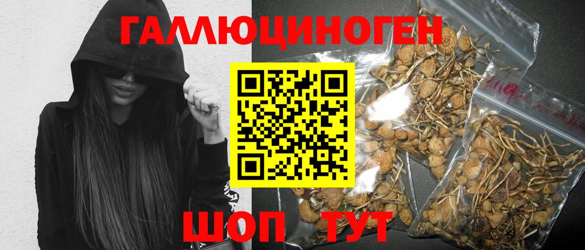 Псилоцибиновые грибы Magic Shrooms Качканар