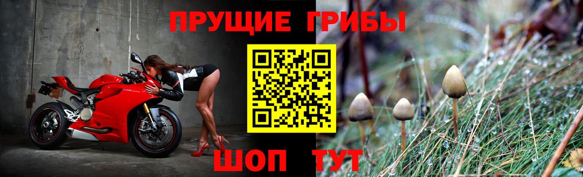 Галлюциногенные грибы Cubensis  Галлюциногенные грибы мухоморы  Качканар  Вход с VPN 